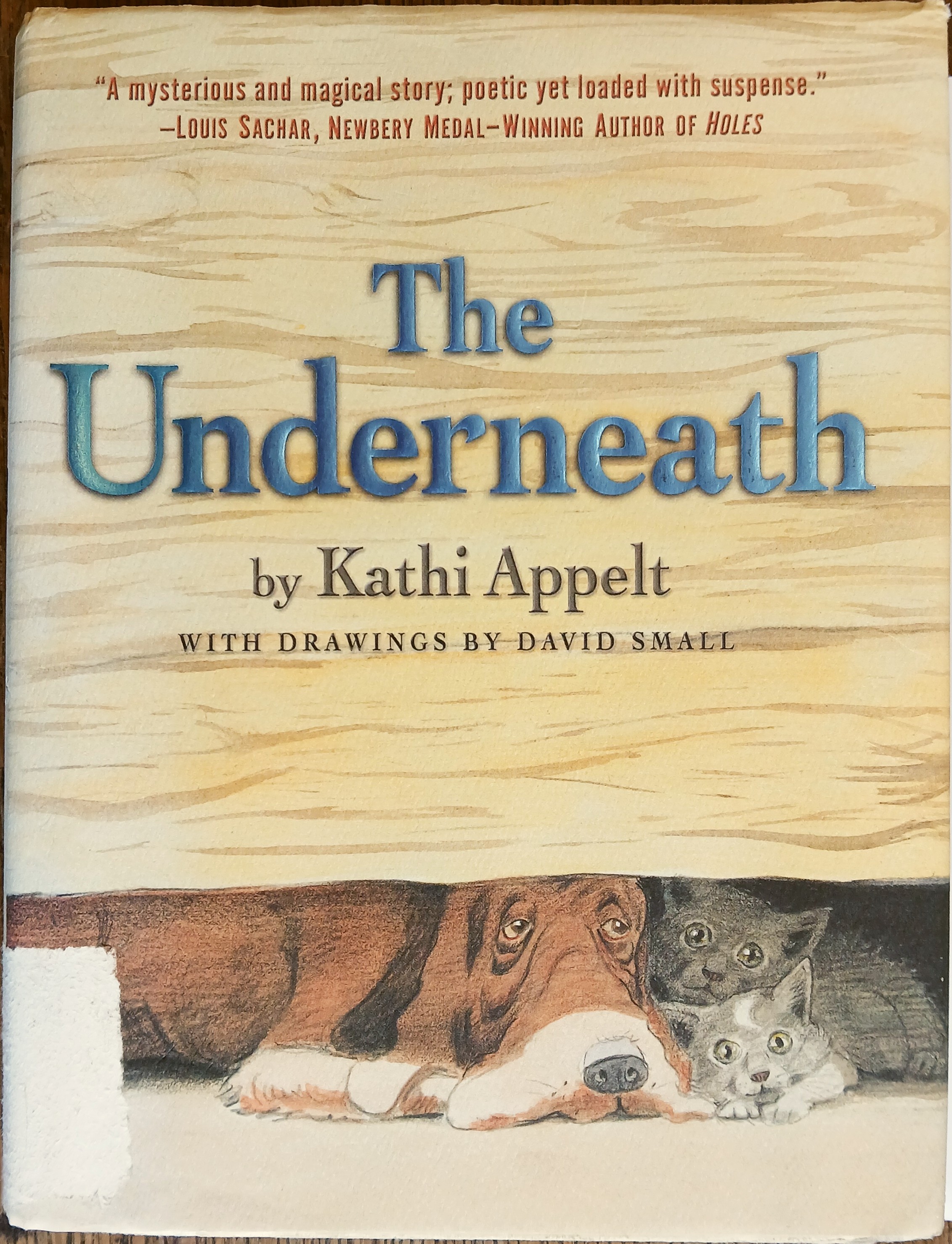 The Underneath