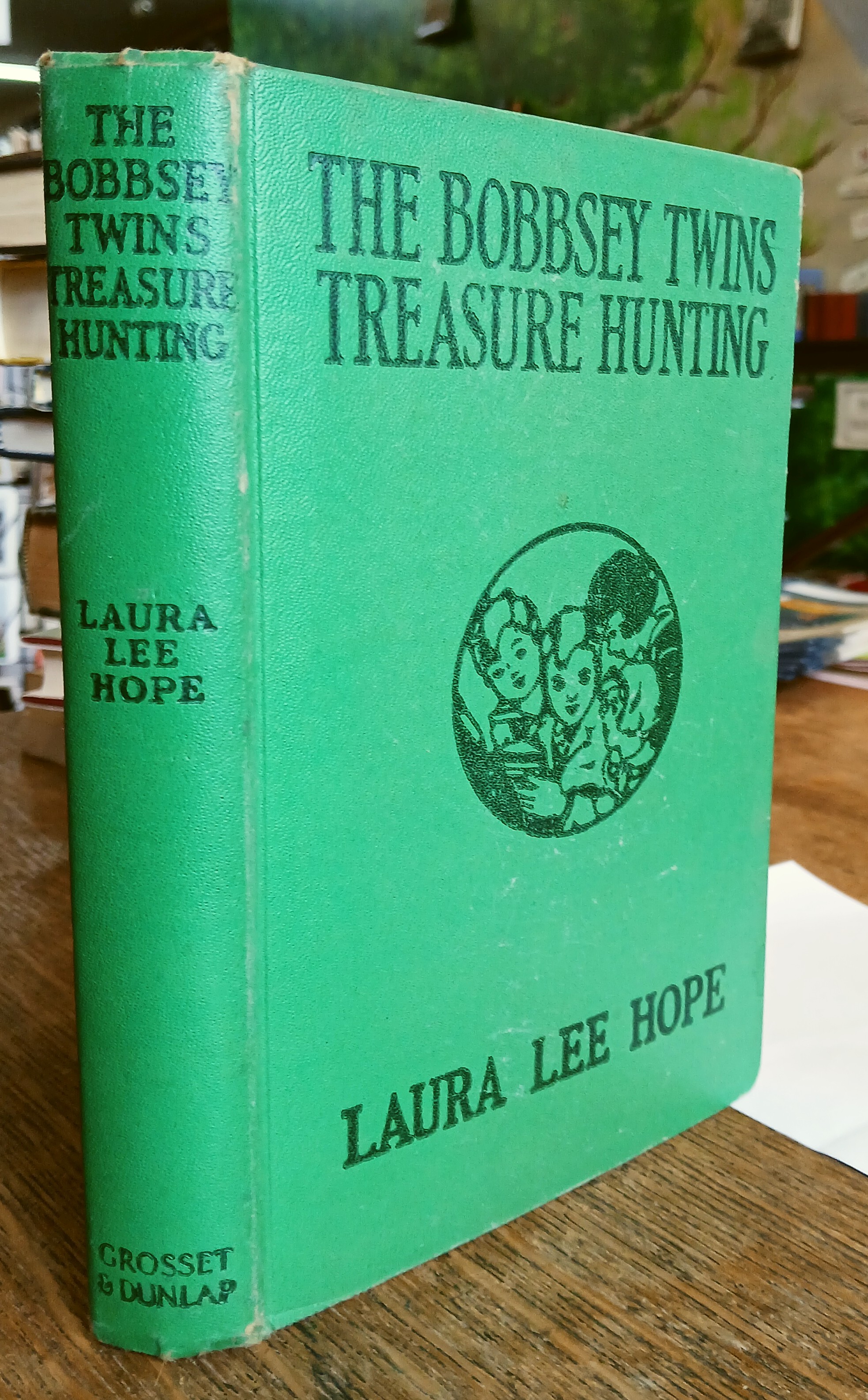 The Bobbsey Twins Treasure Hunting