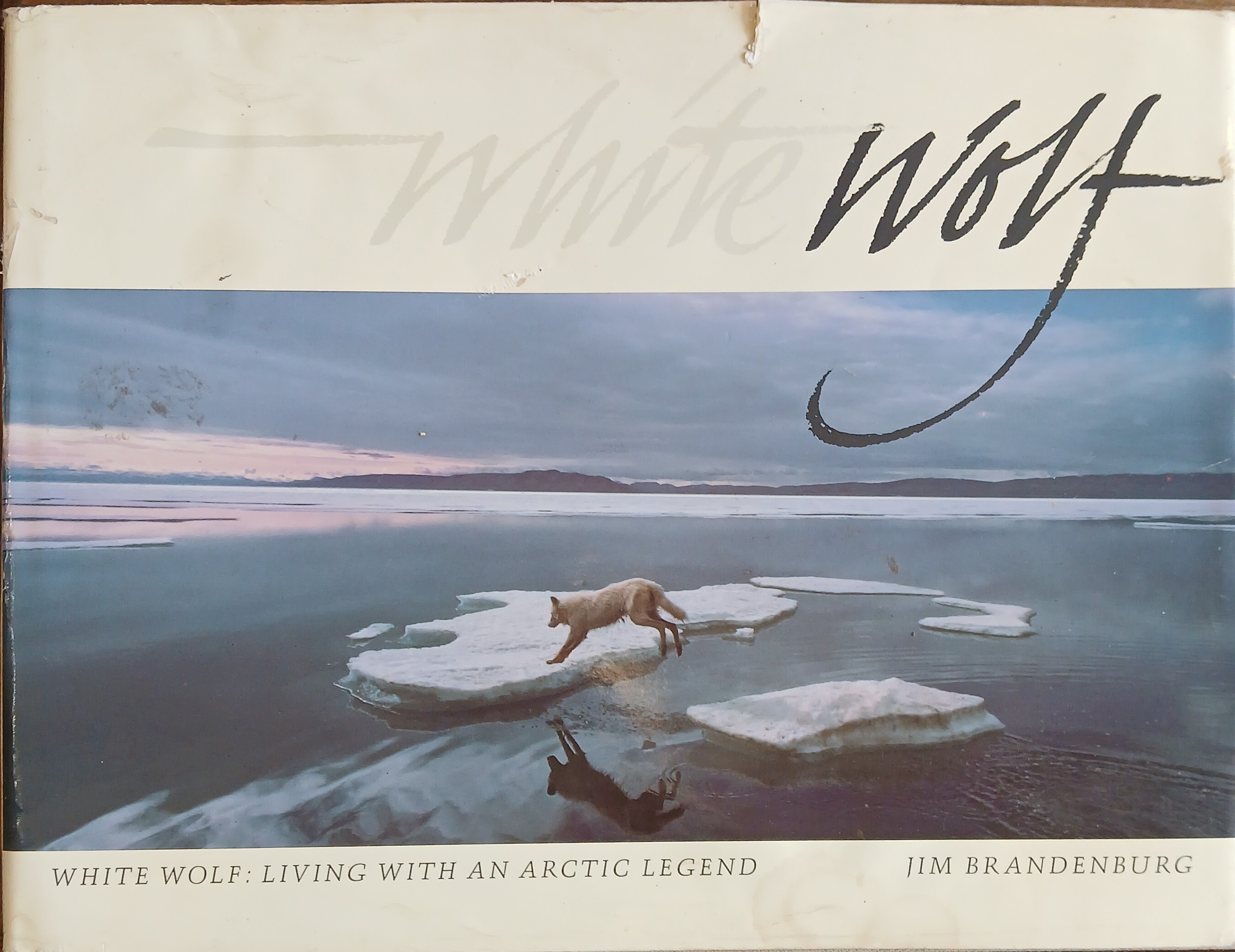 White Wolf: Living With an Arctic Legend