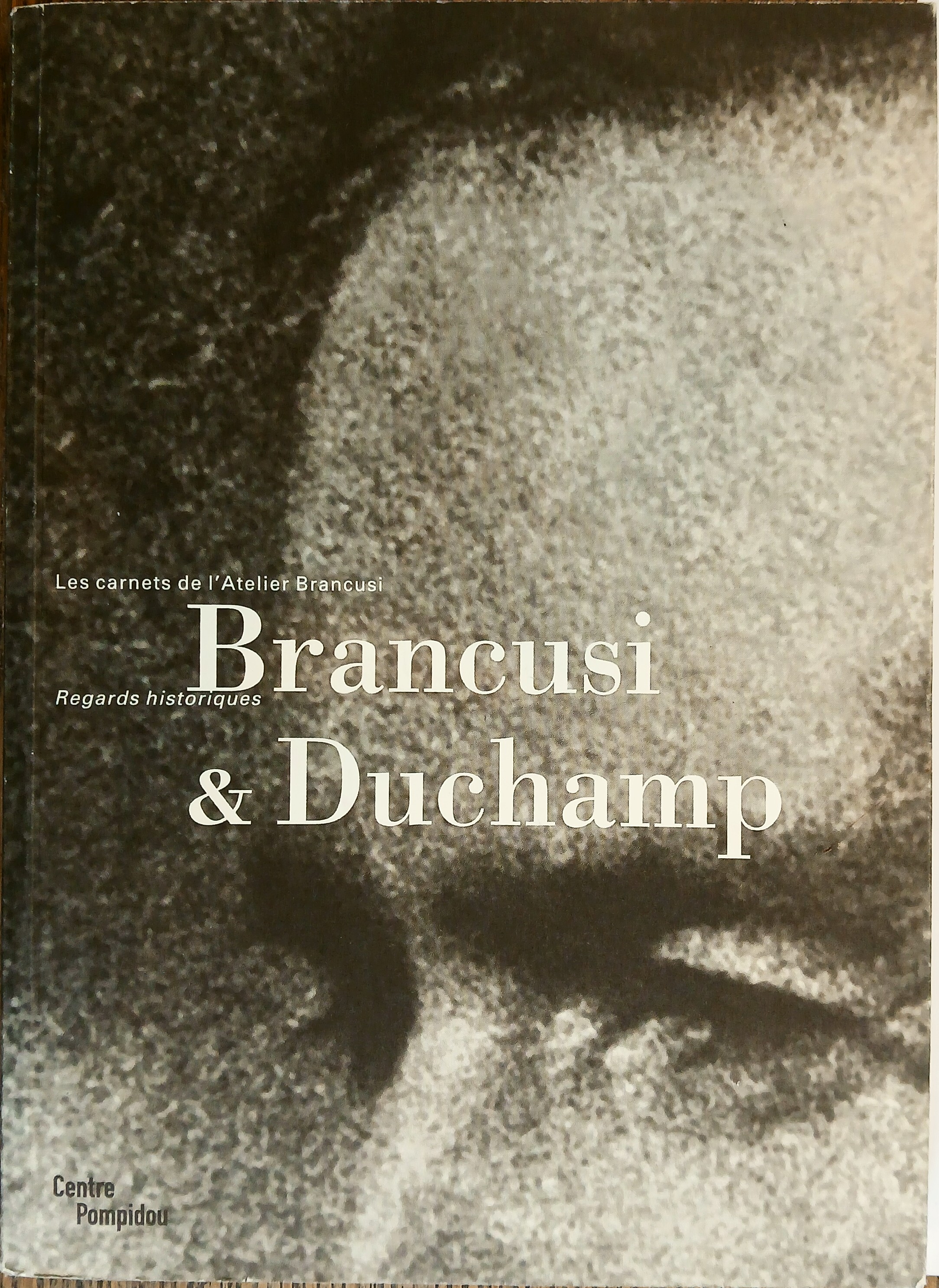 Brancusi & Duchamp: Regards Historiques (Les Carnets De l'Atelier Brancusi)