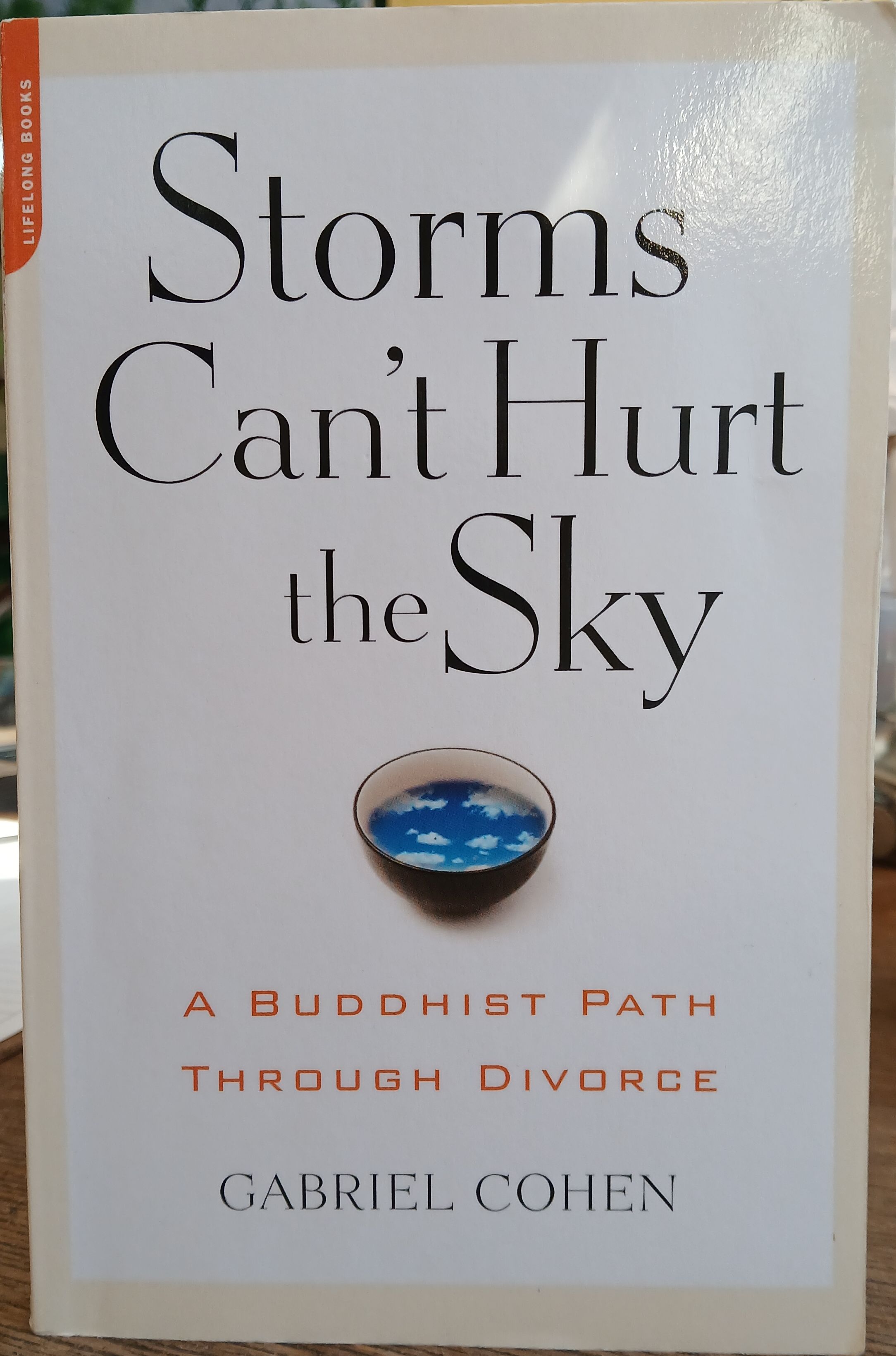 Storms Can't Hurt the Sky