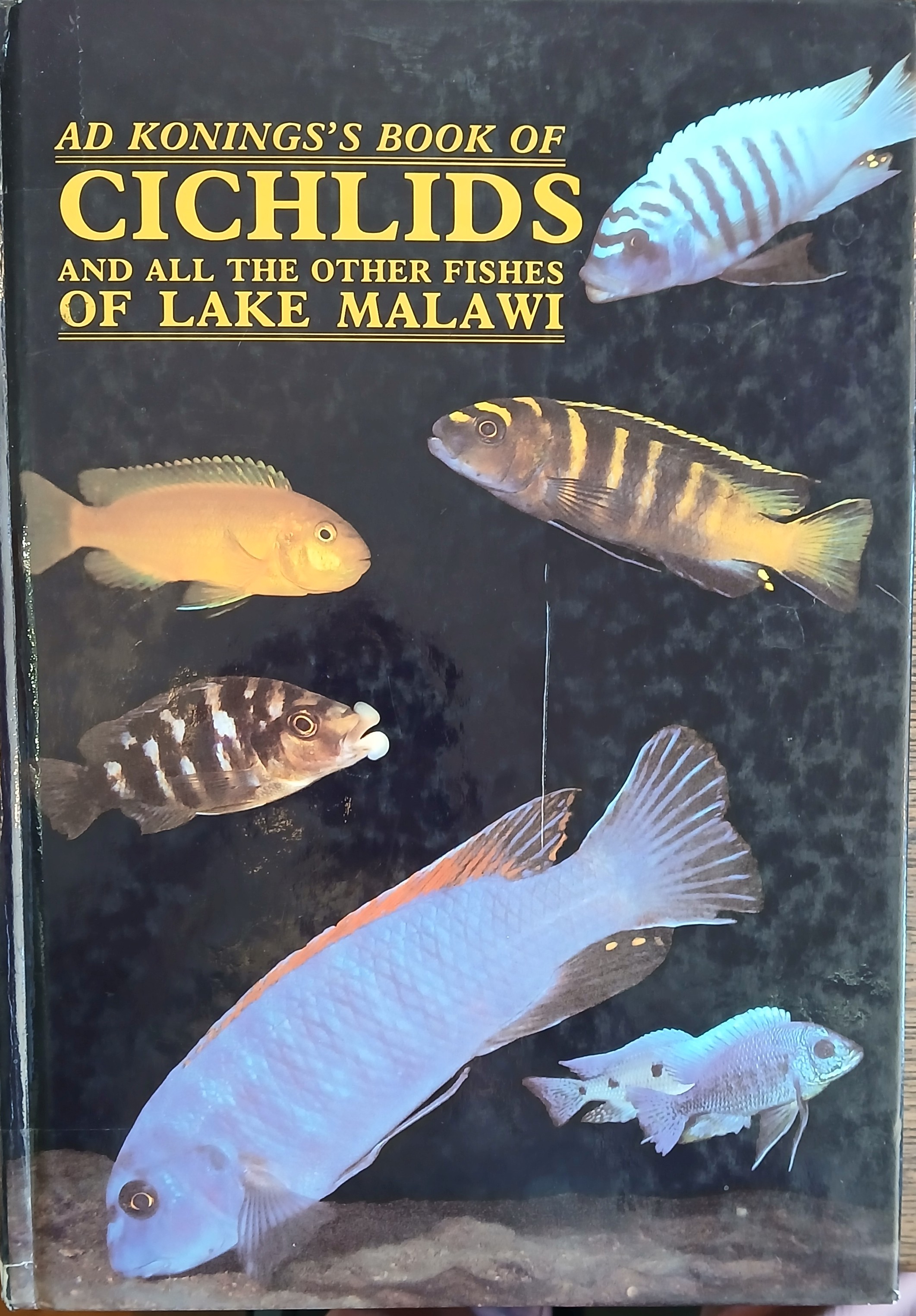 Koning's Book of Cichlids and All the Other Fishes of Lake Malawi