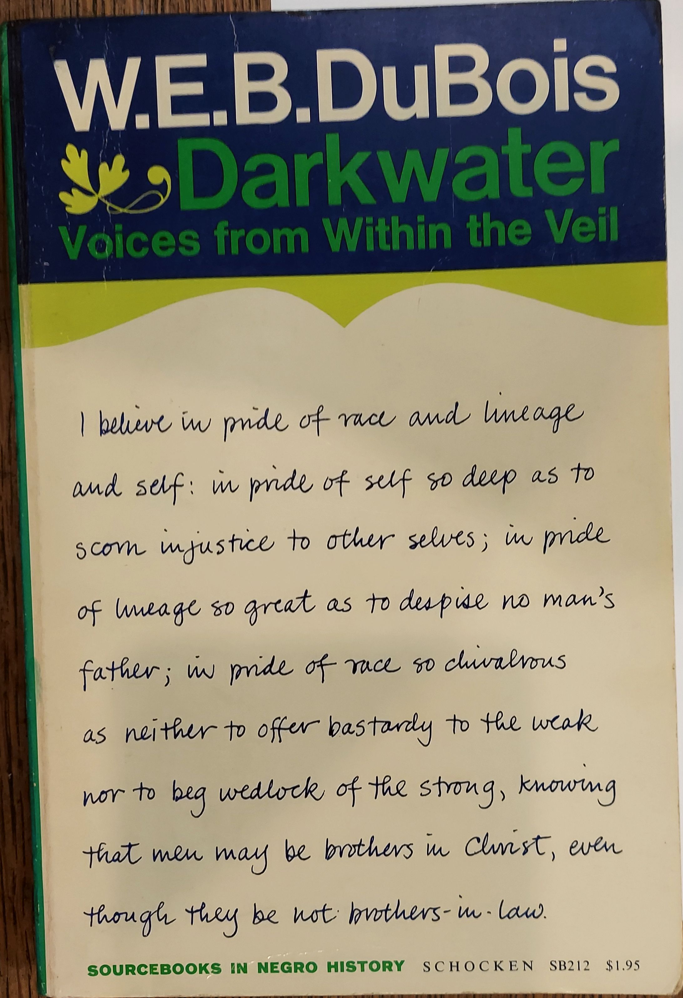 Darkwater : Voices from Within the Veil