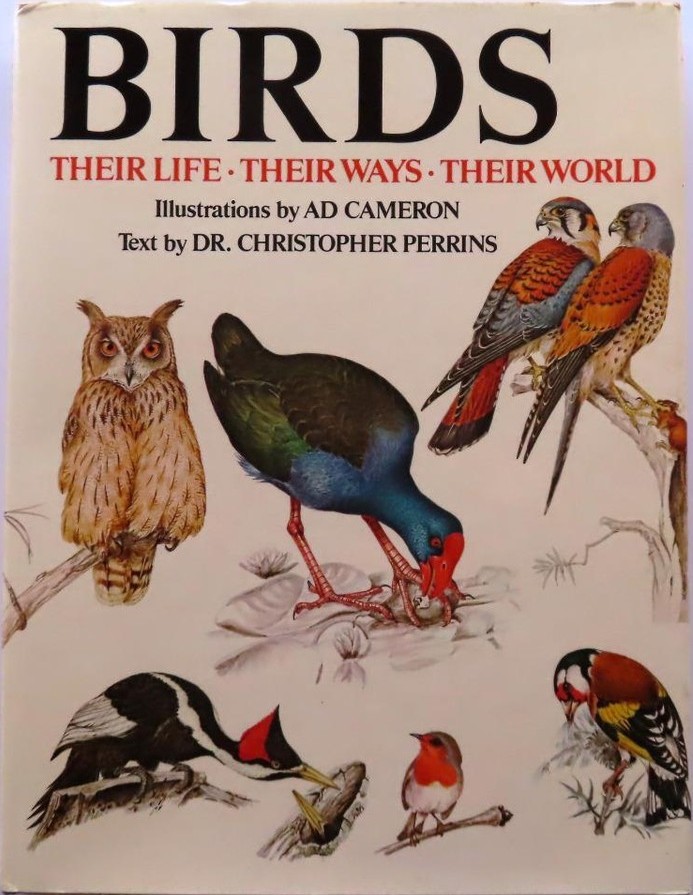 Birds: Their Life-Their Ways-Their World