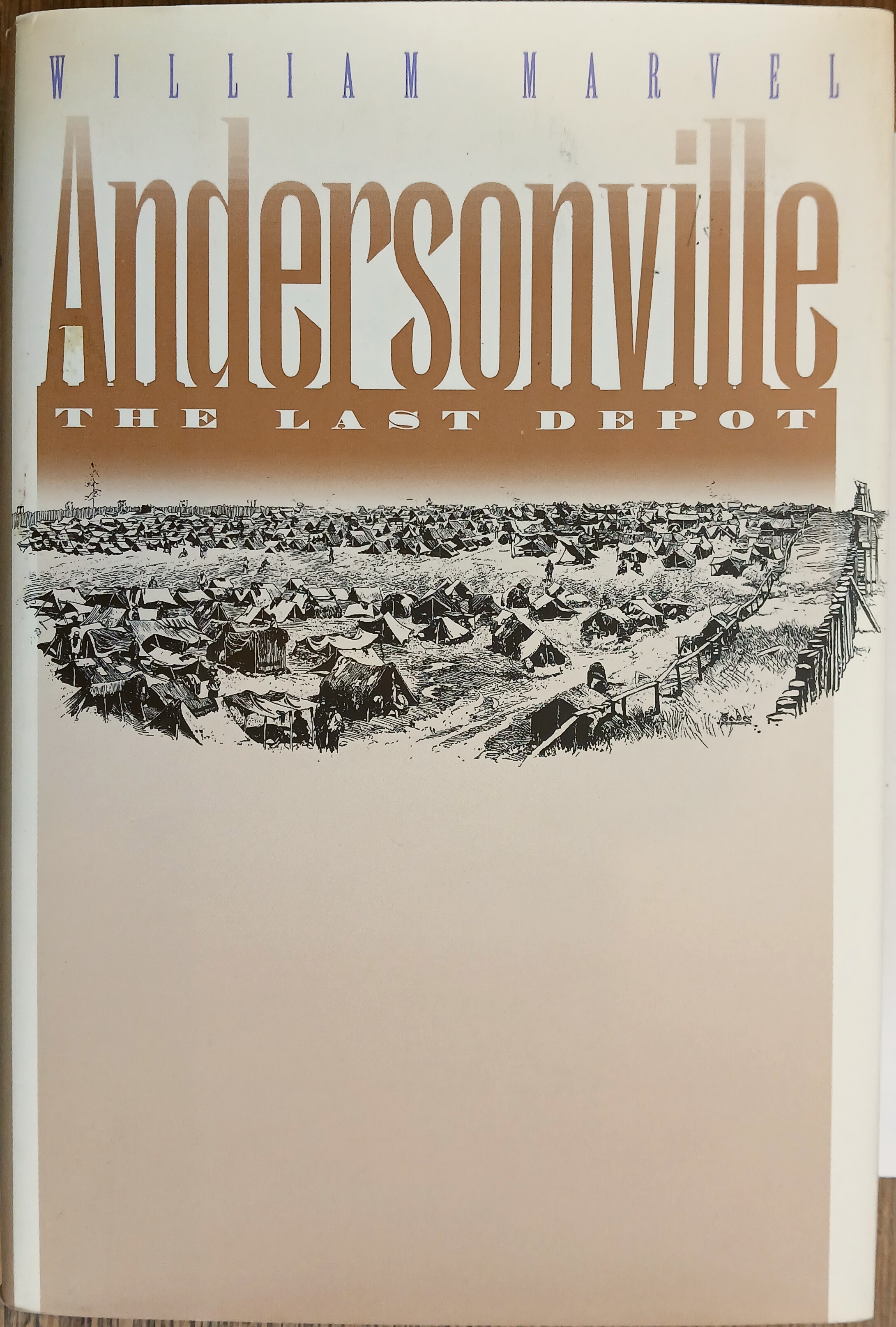 Andersonville: The Last Depot (Civil War America)