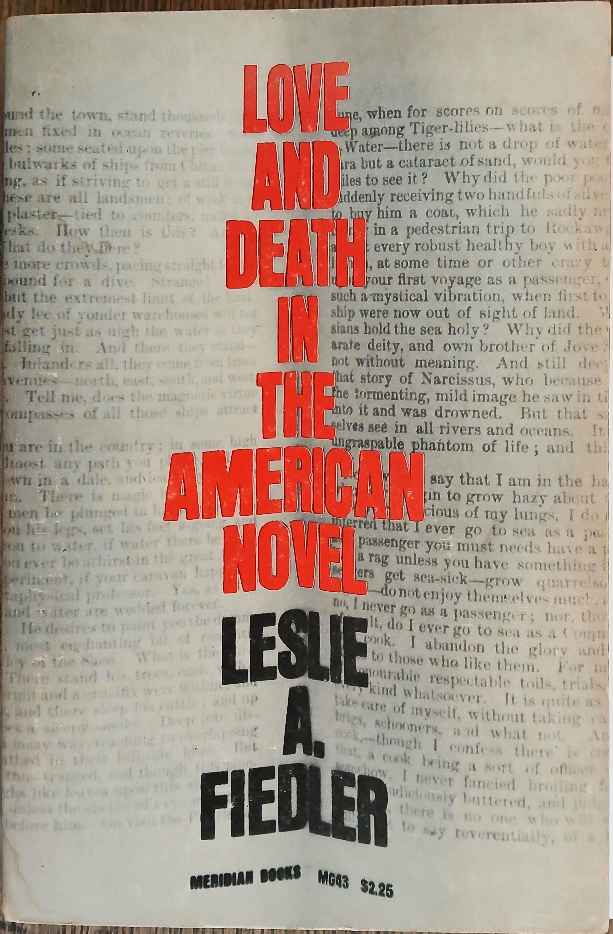 Love and Death in the American Novel
