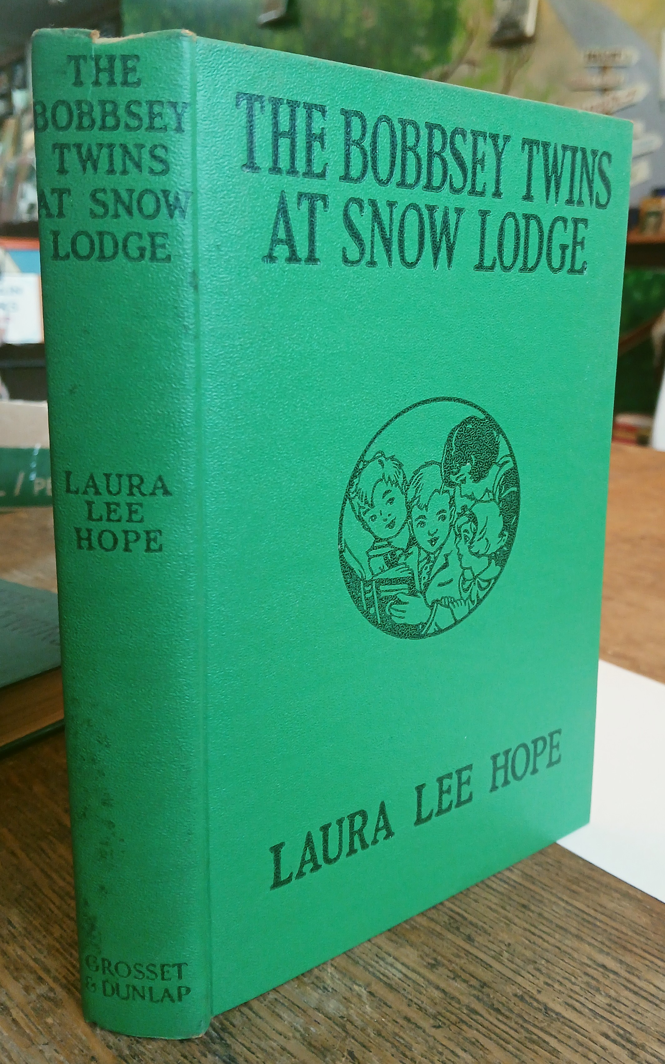 The Bobbsey Twins at Snow Lodge
