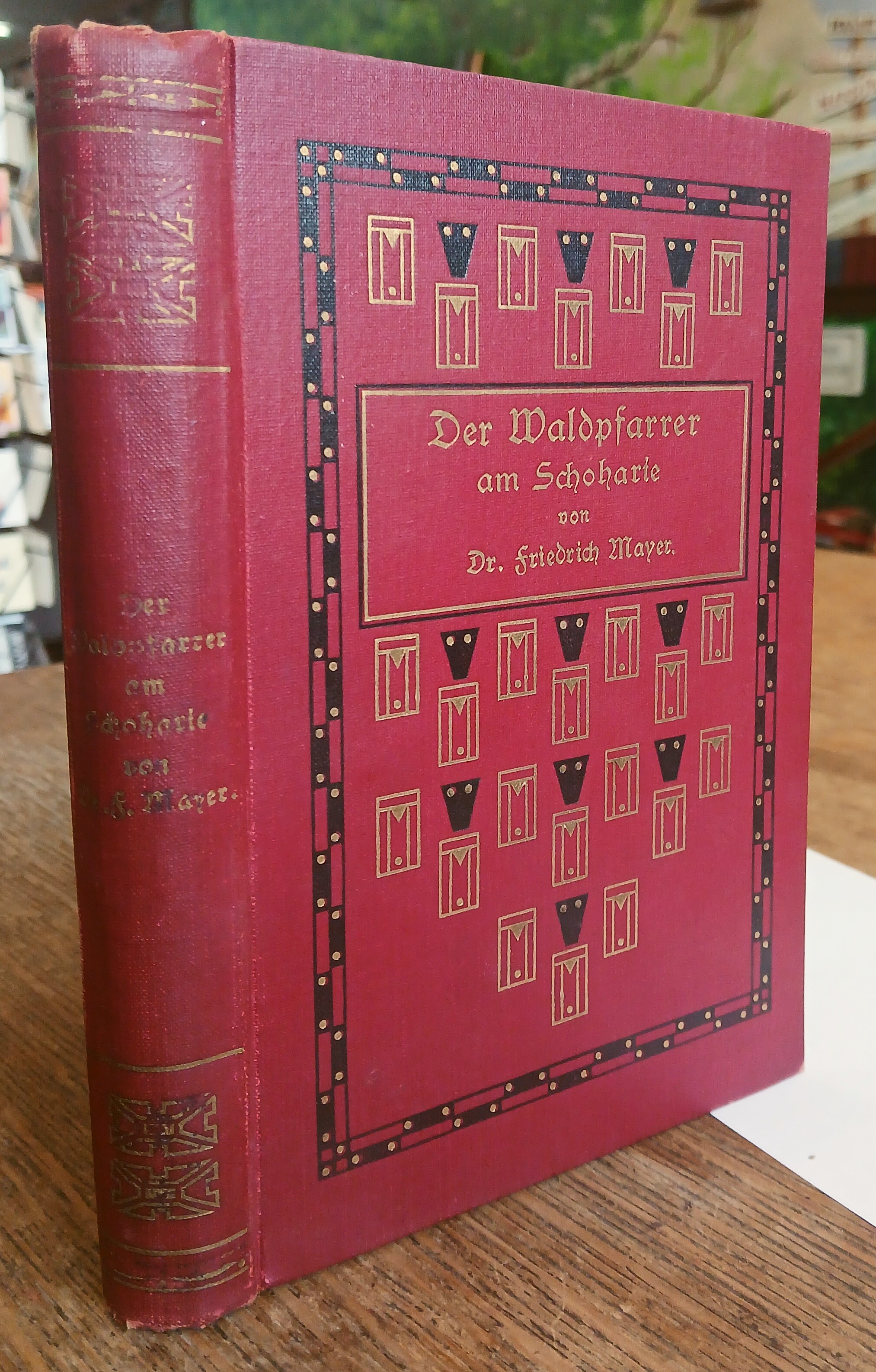 Der Waldpfarrer am Schoharie: Kulturhistorische Bilder aus dem Deutsch-Amerikanischen Leben des Achtzehnten Jahrhunderts