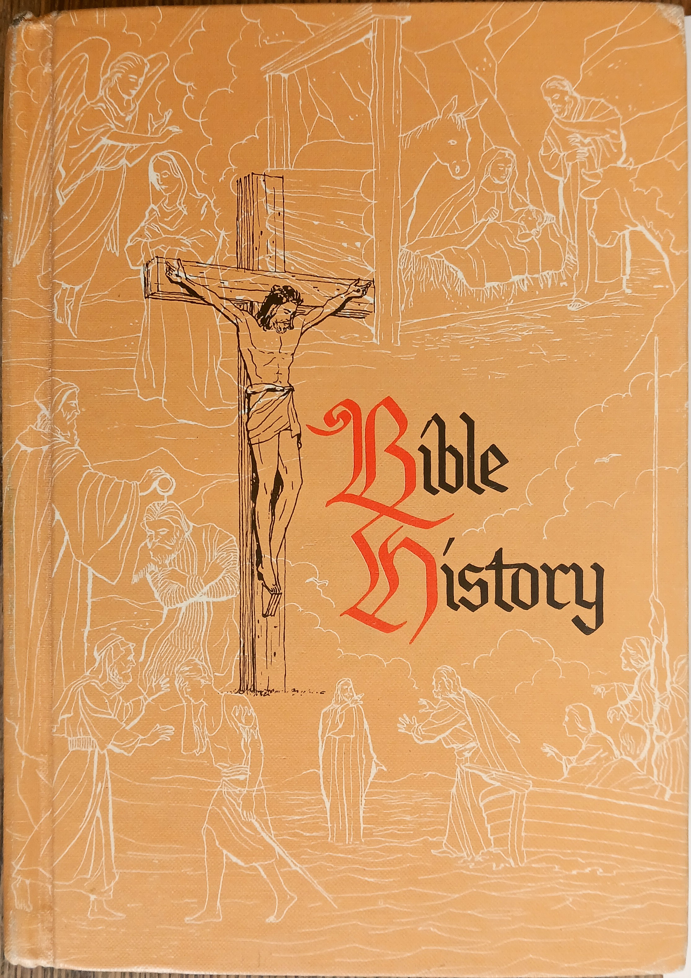 Bible History (The Kingdom of God Series)