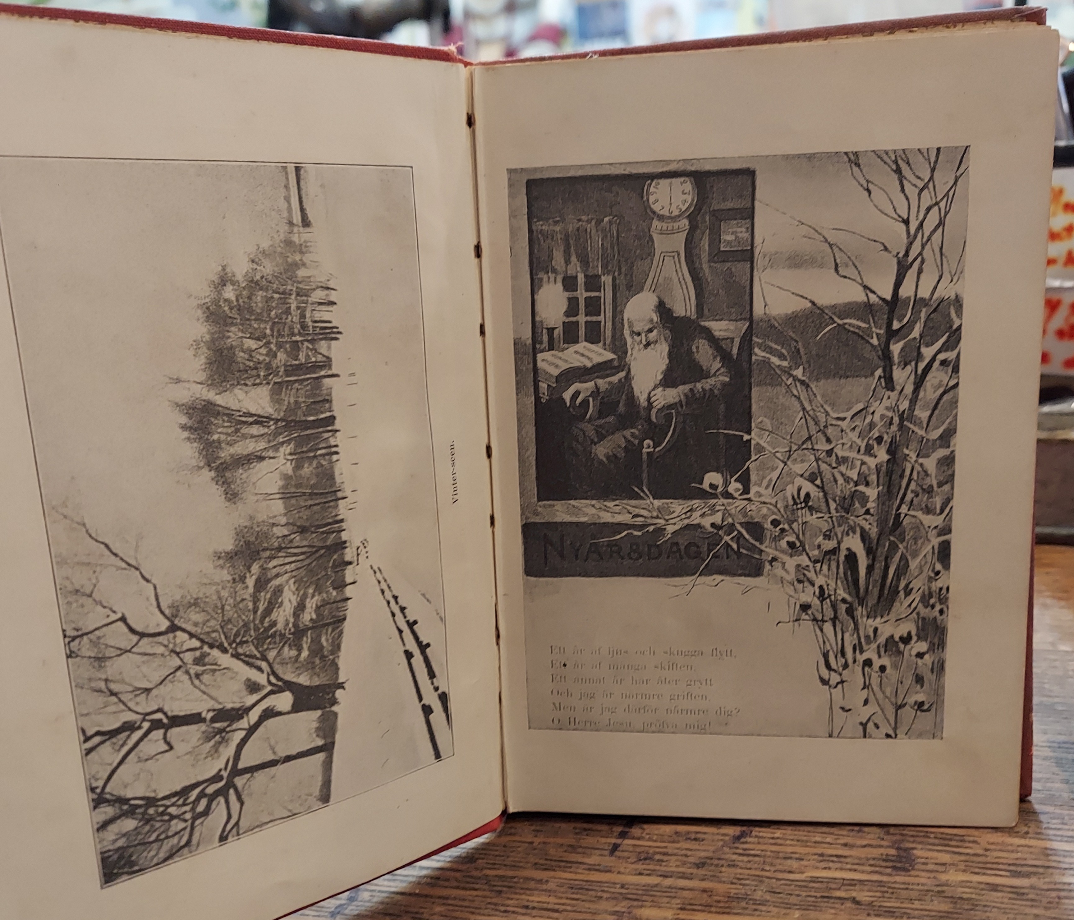 Vinter Rosor Illustrerad Kalender