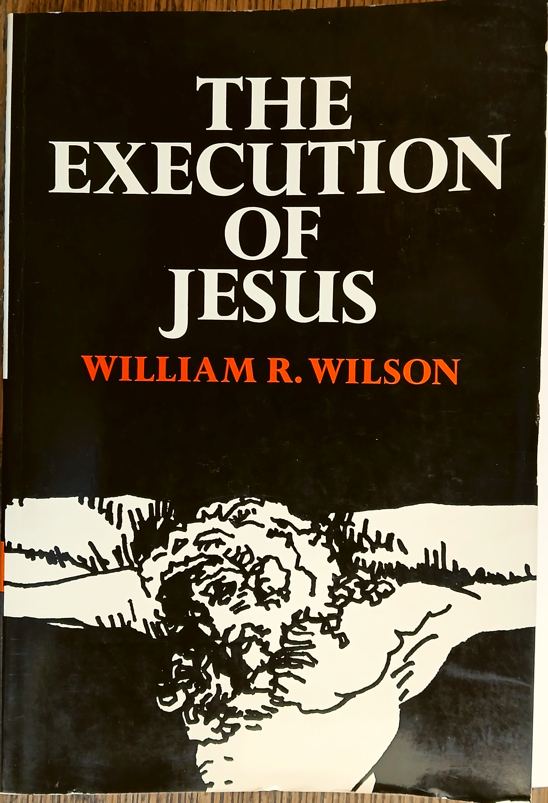 The Execution of Jesus: A Judicial, Literary, and Historical Investigation
