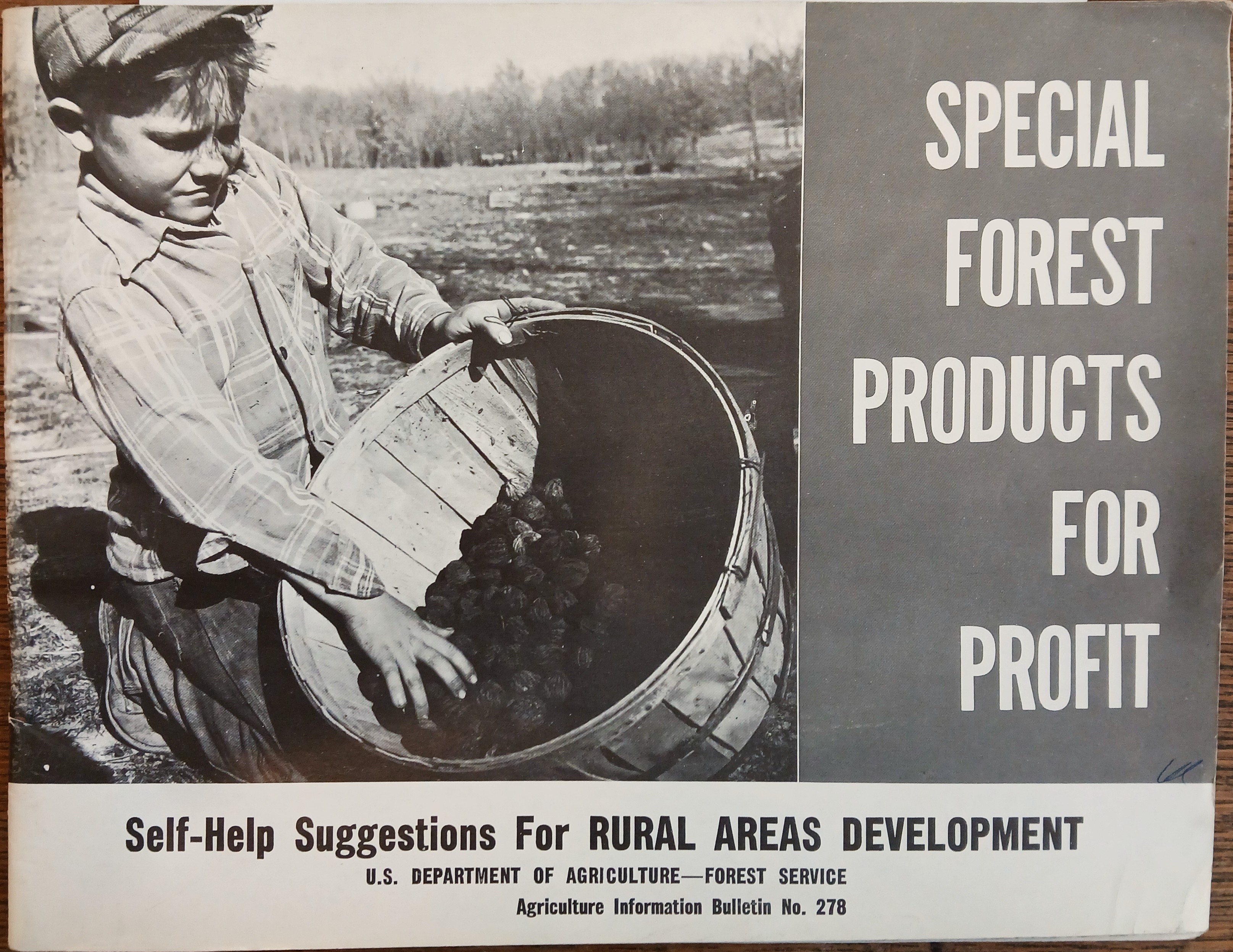 Special Forest Products for Profit: Self-Help Suggestions for Rural Areas Development (Agriculture Information Bulletin #278)