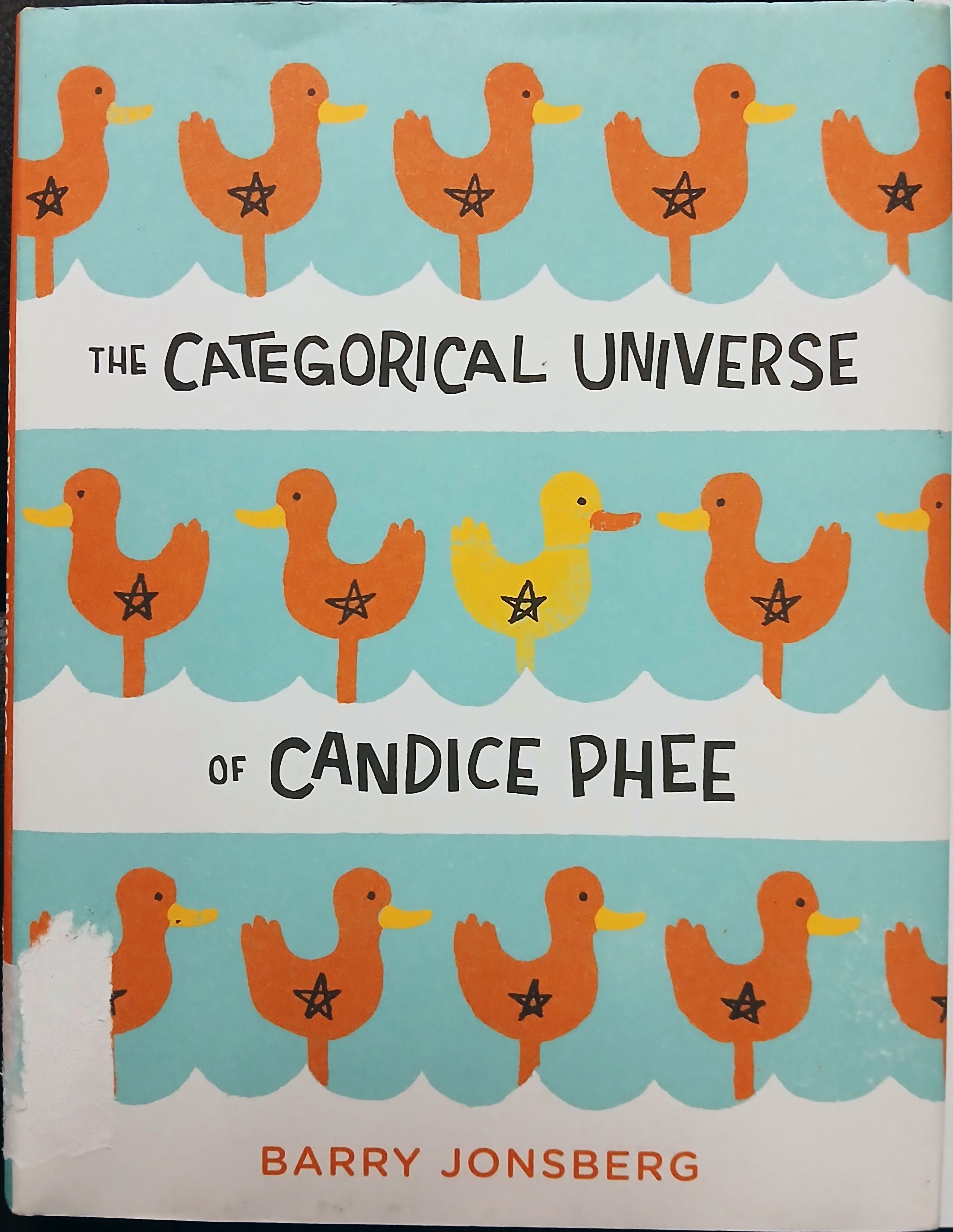 The Categorical Universe of Candice Phee