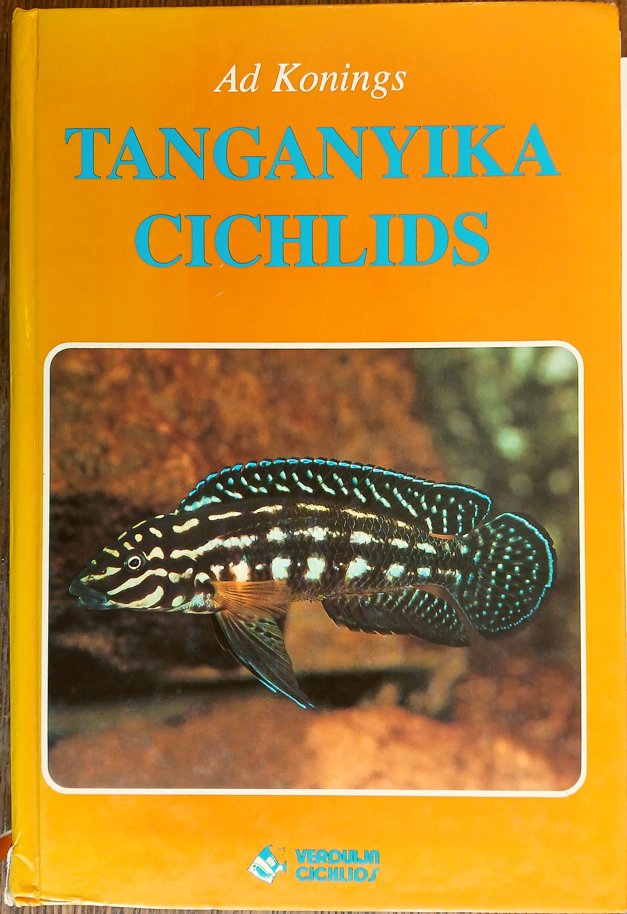 Tanganyika Cichlids