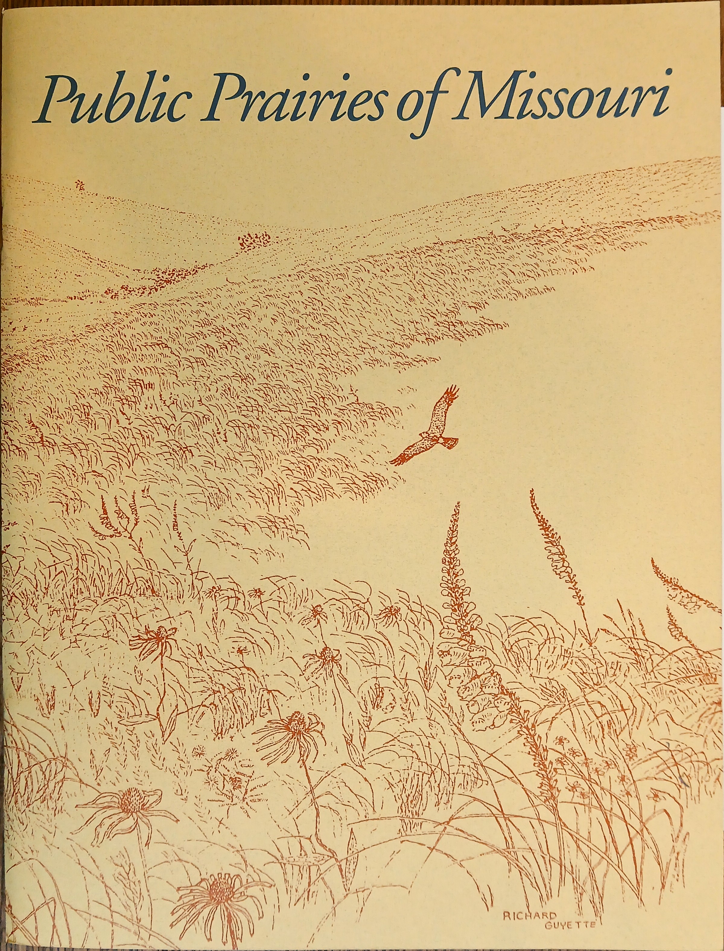 Image for Public Prairies of Missouri Public Prairies of Missouri