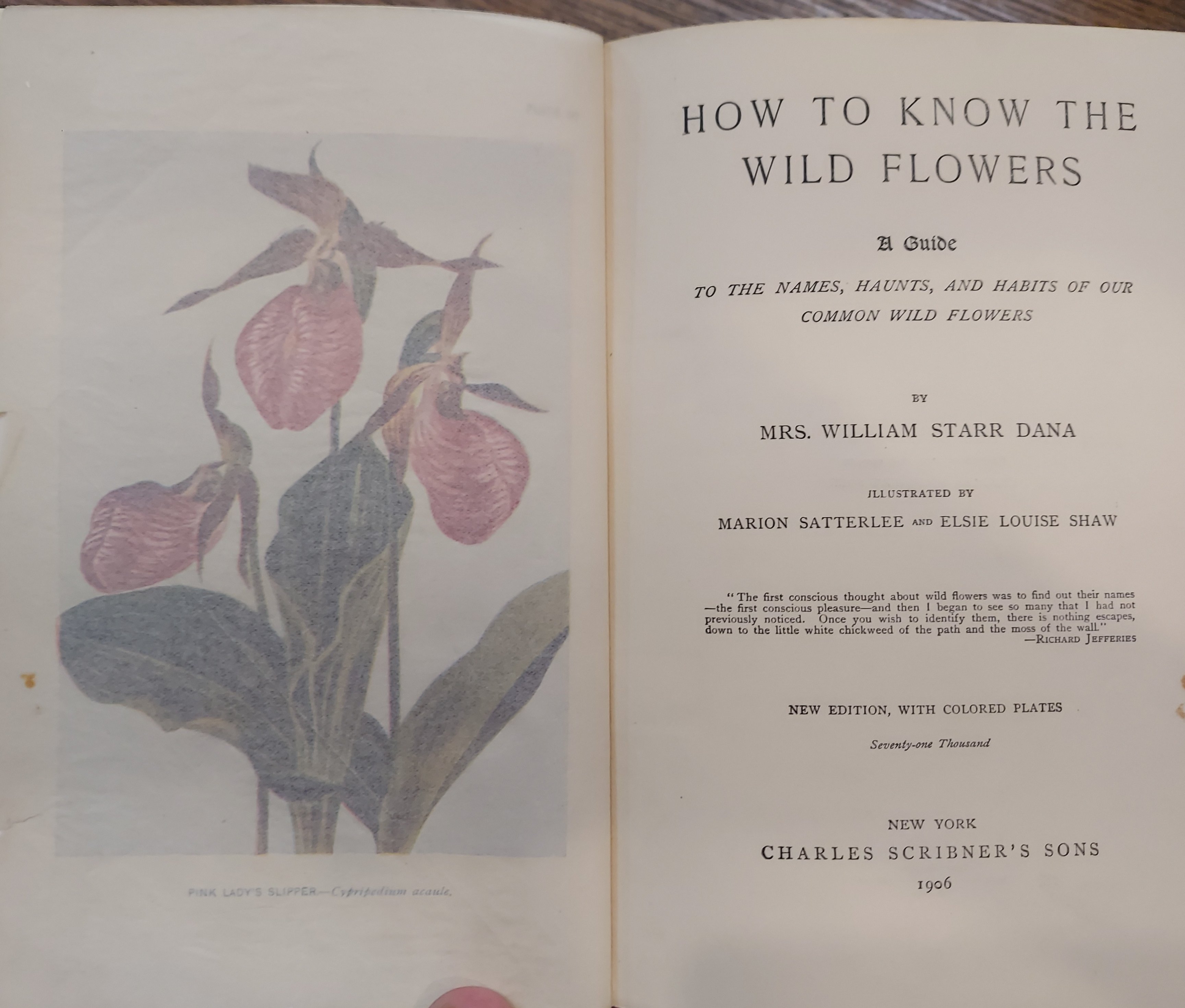 How to Know the Wild Flowers; A Guide to the Names, Haunts, and Habits of Our Common Wild Flowers