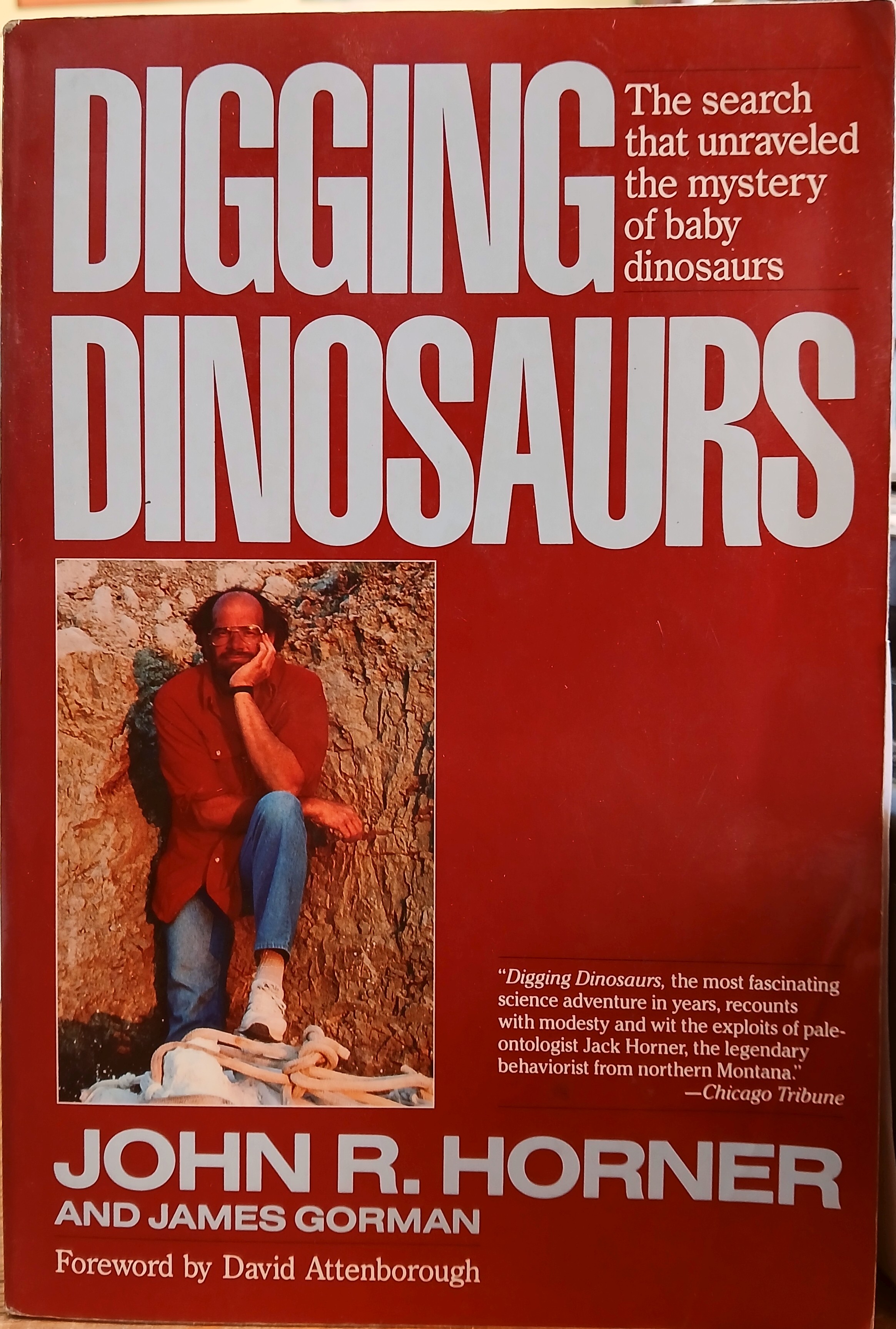 Digging Dinosaurs