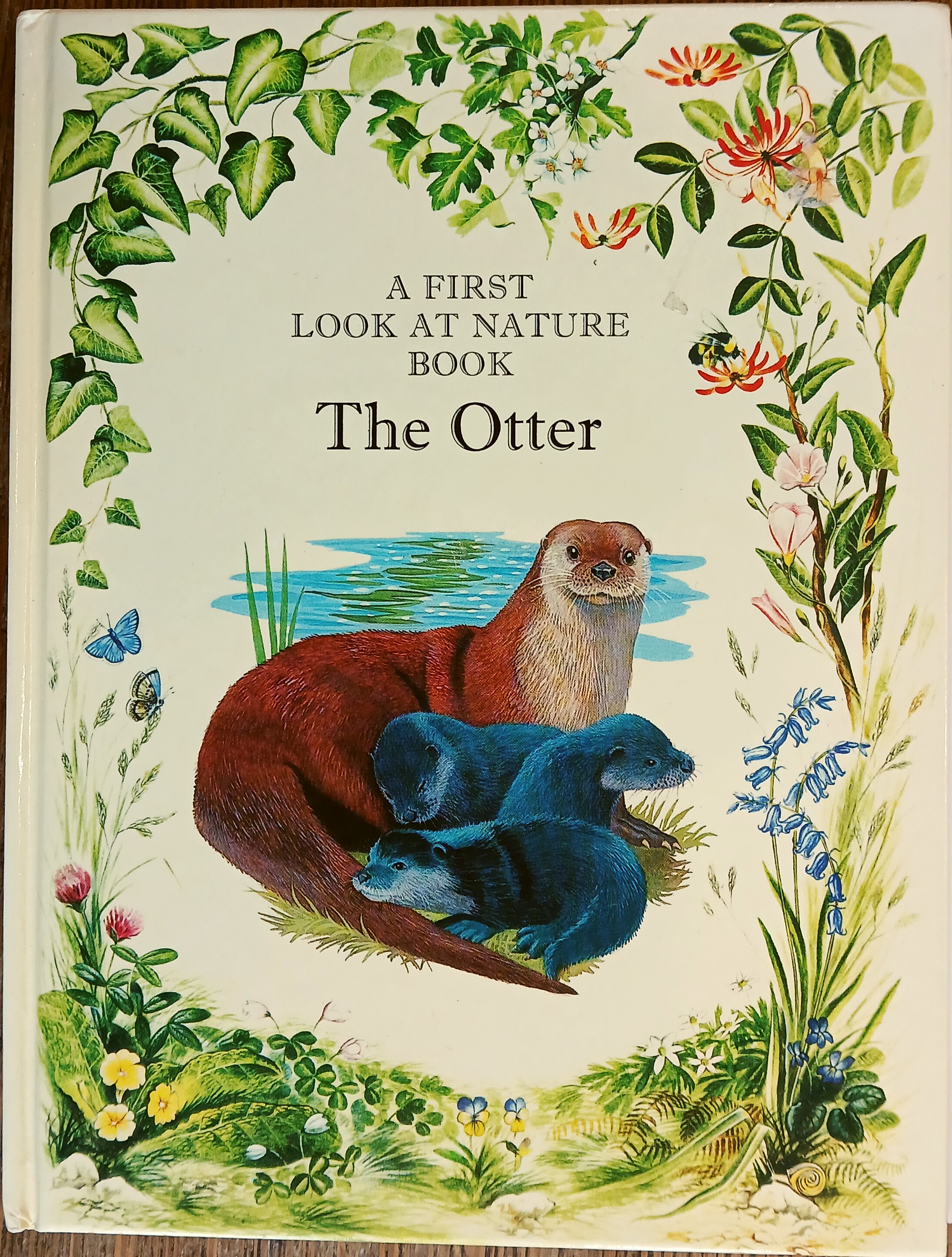 The Otter (A First Look at Nature Book)