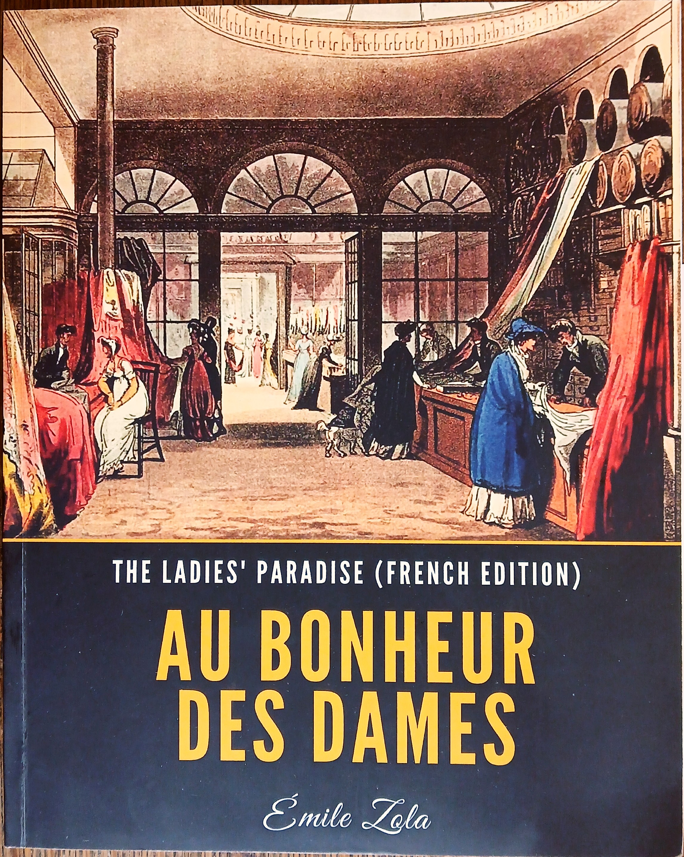 Au Bonheur Des Dames (The Ladies' Paradise French edition)