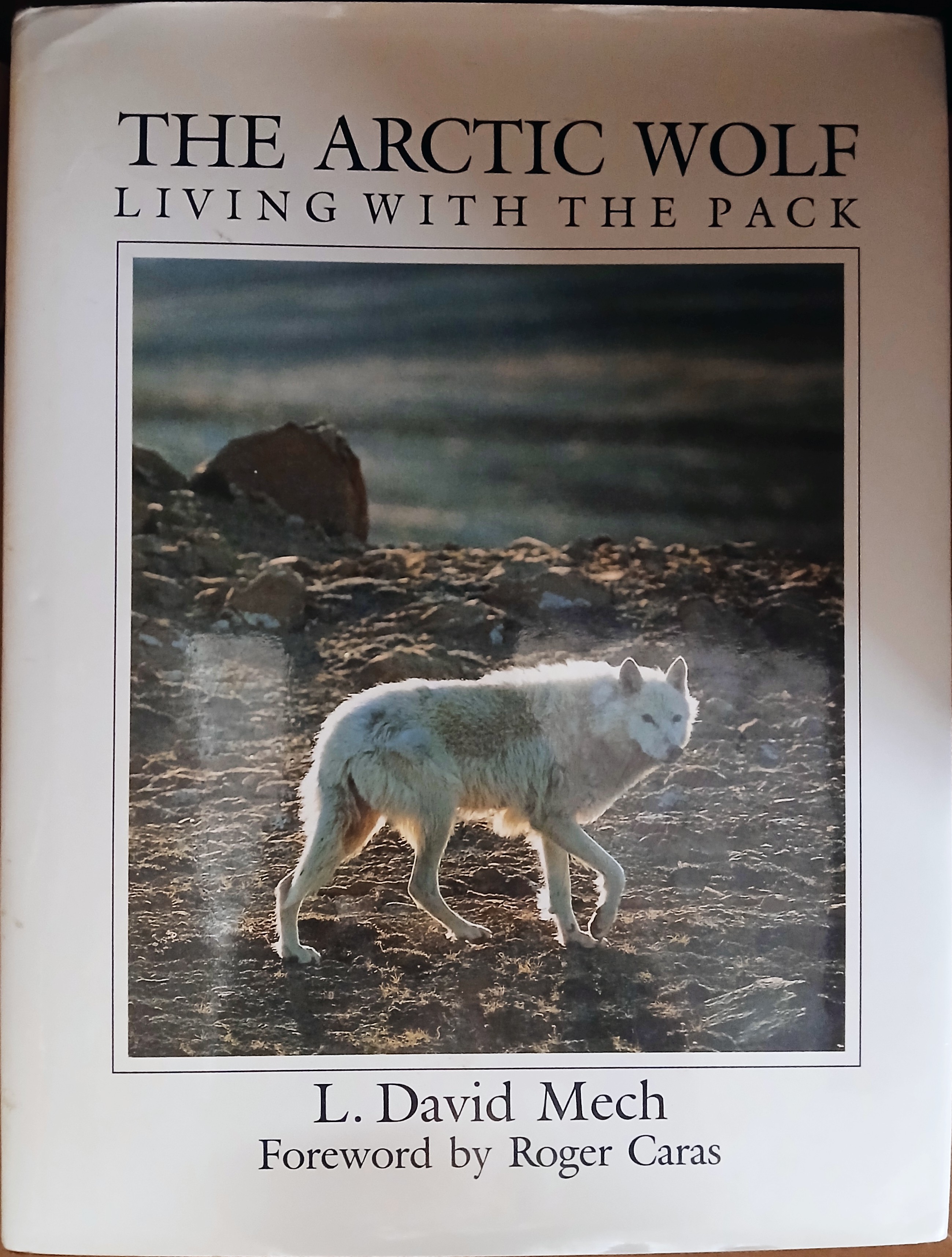 The Arctic Wolf: Living With the Pack