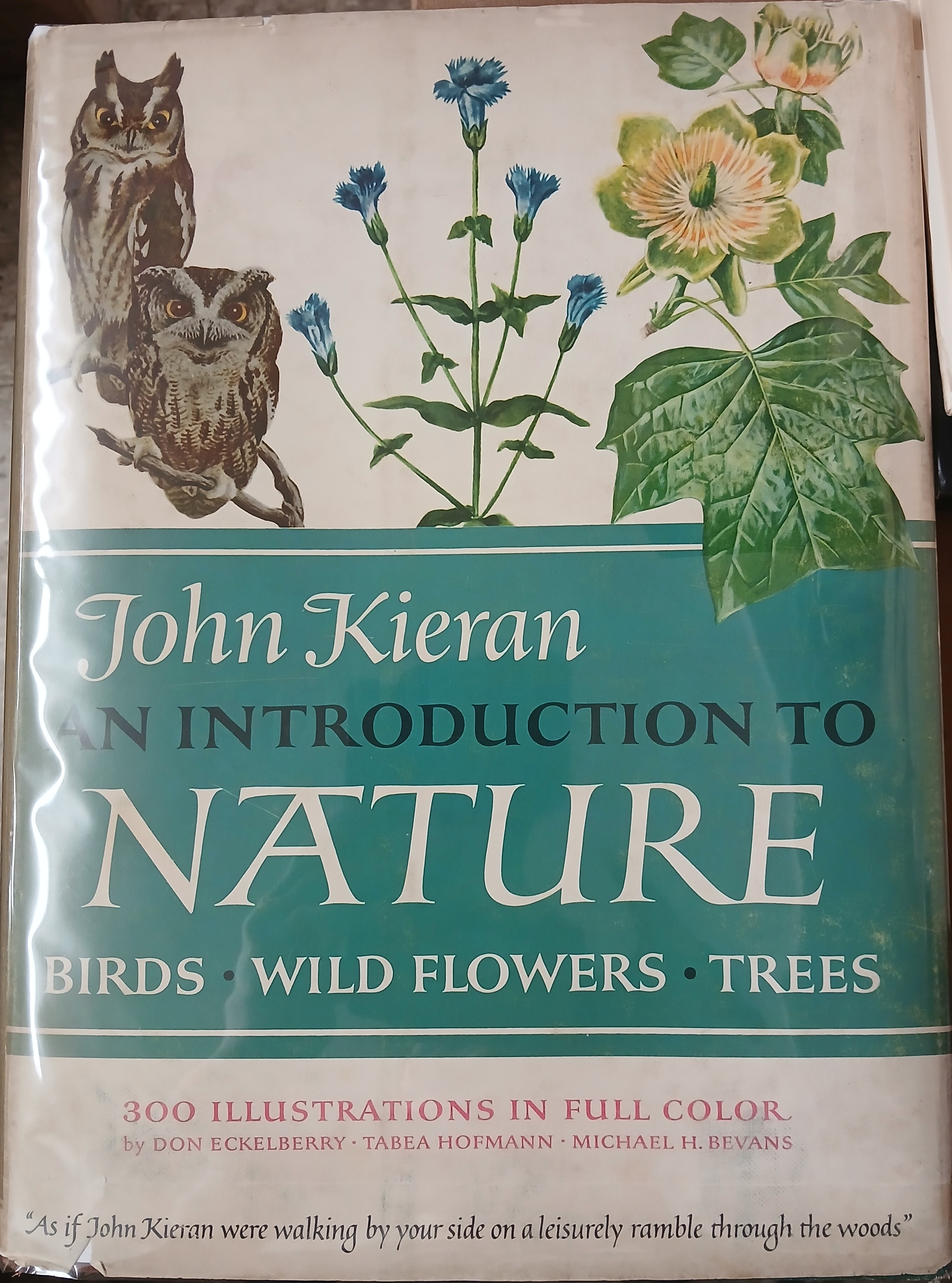 An Introduction to Nature