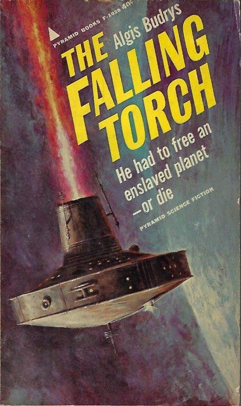 Image for The Falling Torch The Falling Torch