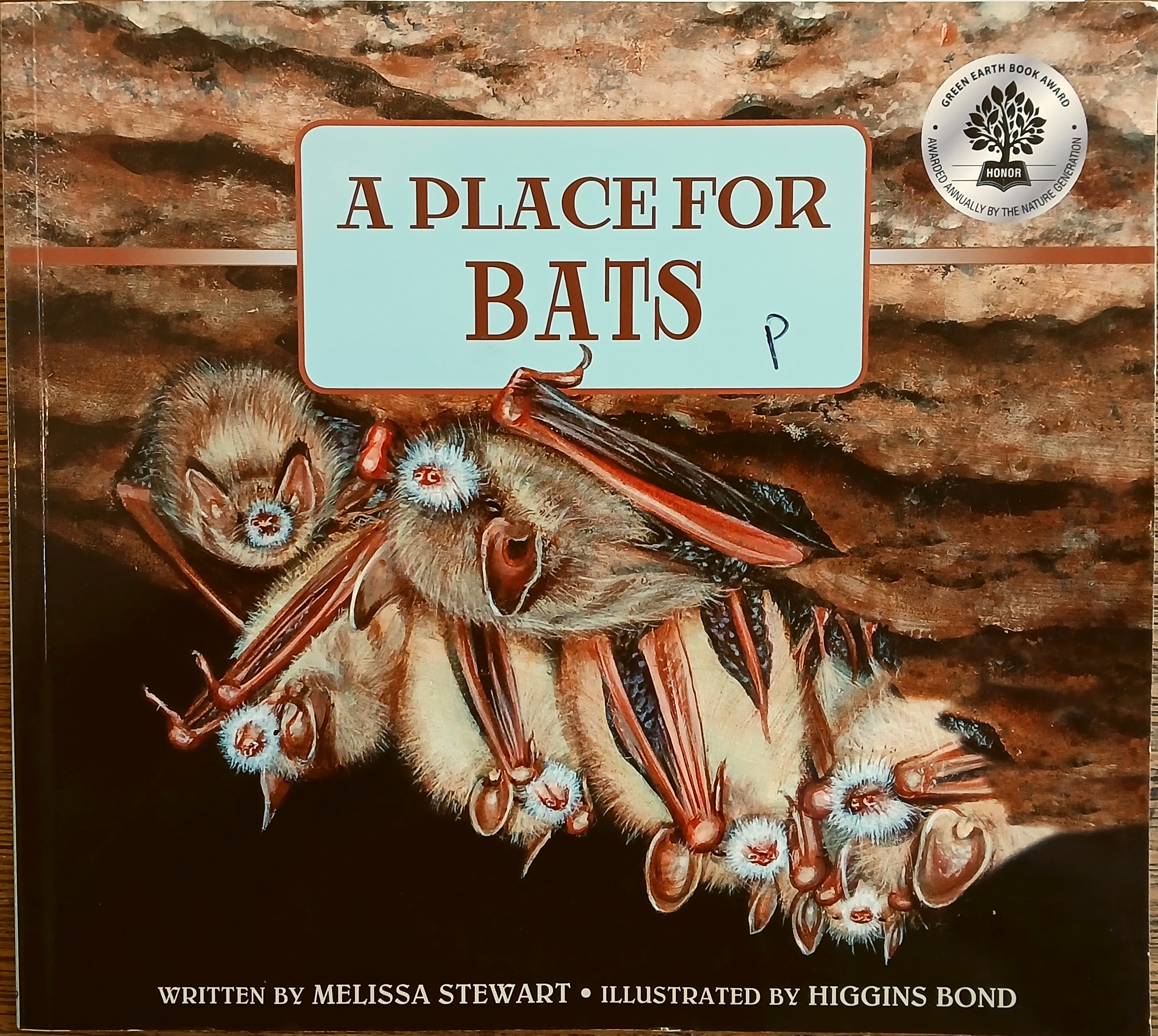 A Place for Bats