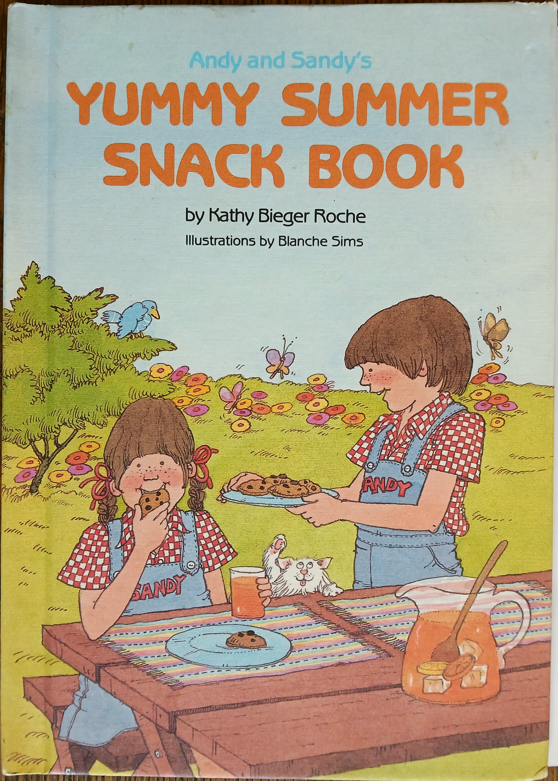 Andy and Sandy's Yummy Summer Snack Book