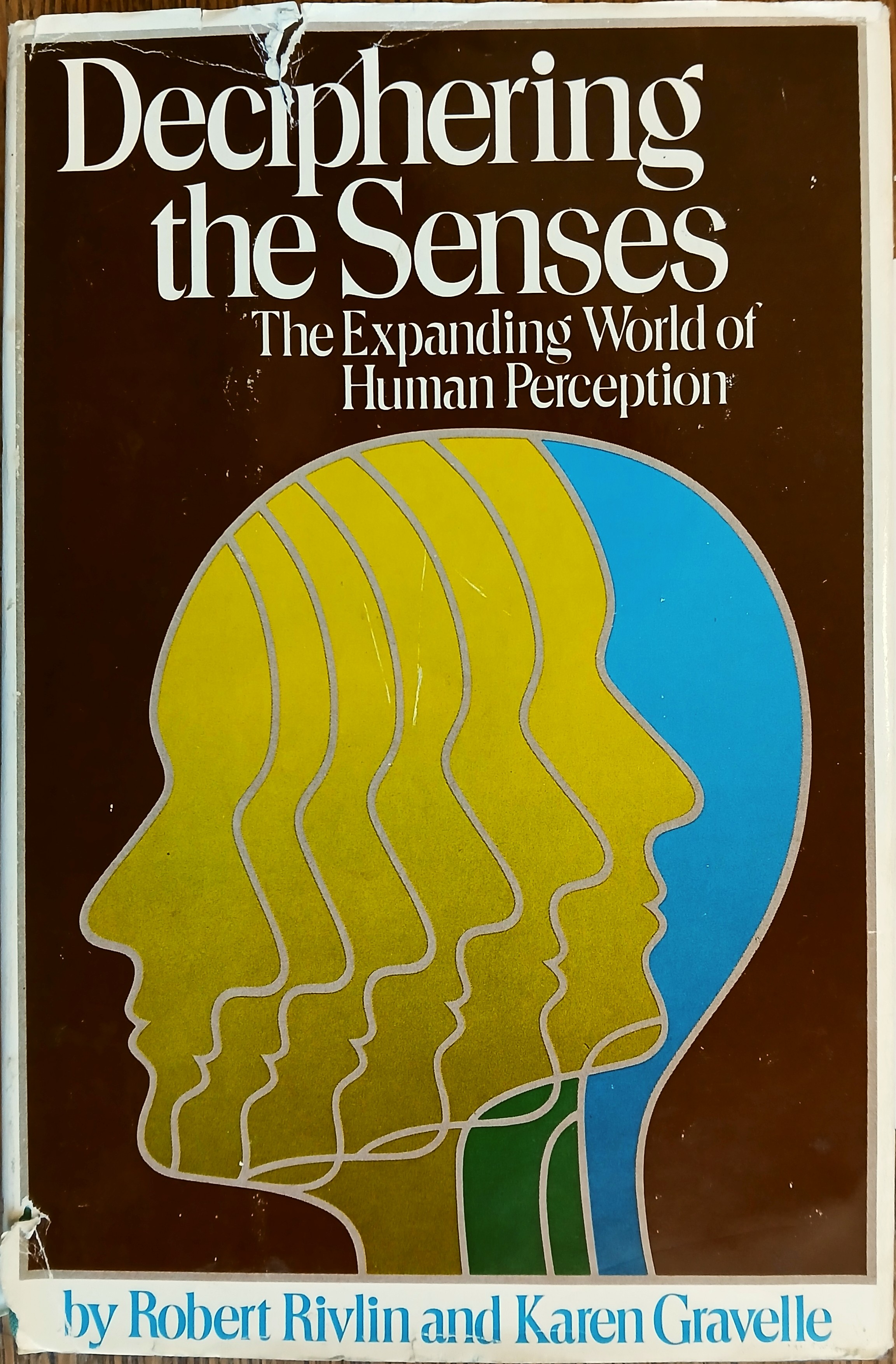 Deciphering the Senses: The Expanding World of Human Perception