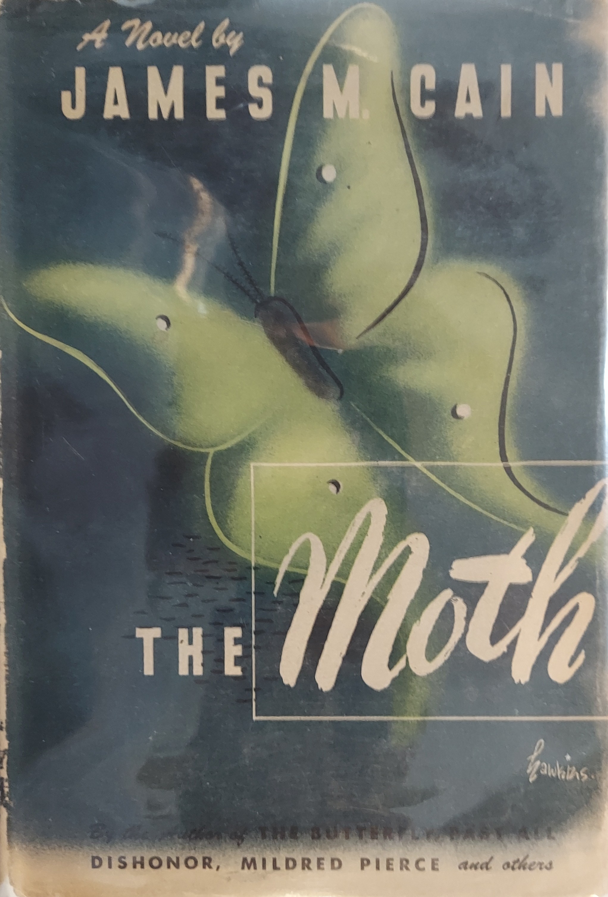 Image for The Moth The Moth