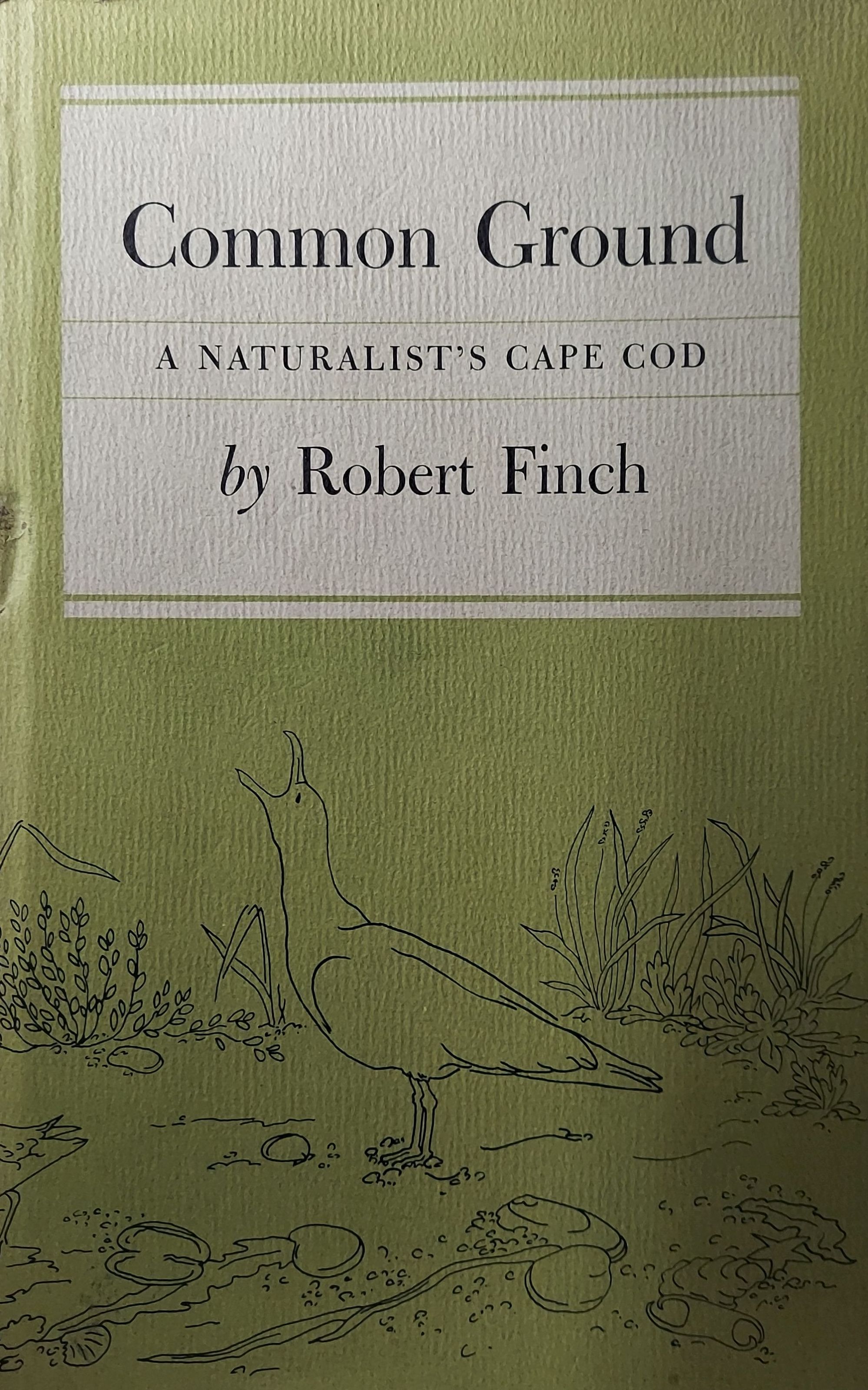 Common Ground: A Naturalist's Cape Cod