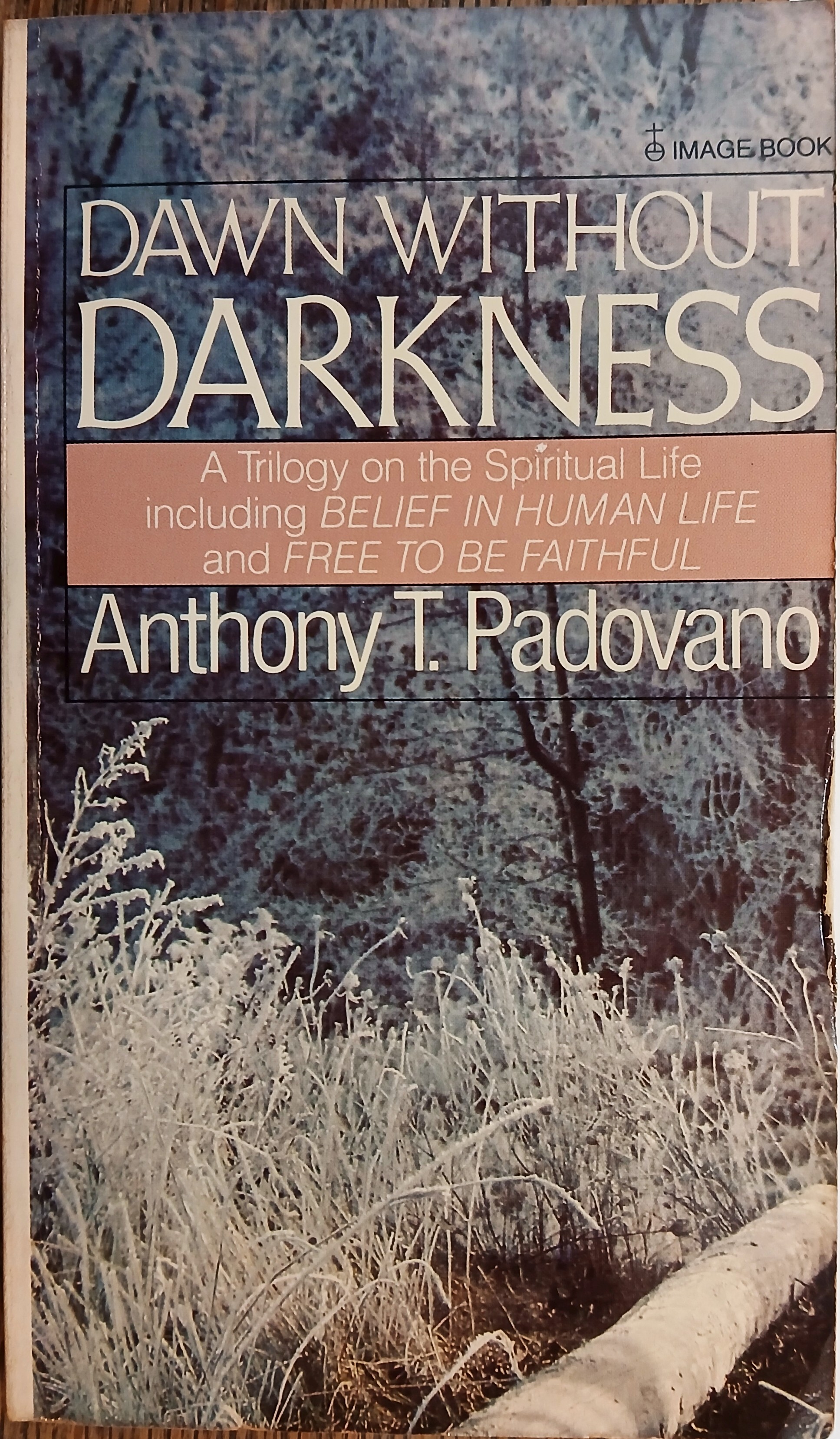 Dawn Without Darkness: A Trilogy on the Spiritual Life Including Belief in Human Life and Free to Be Faithful