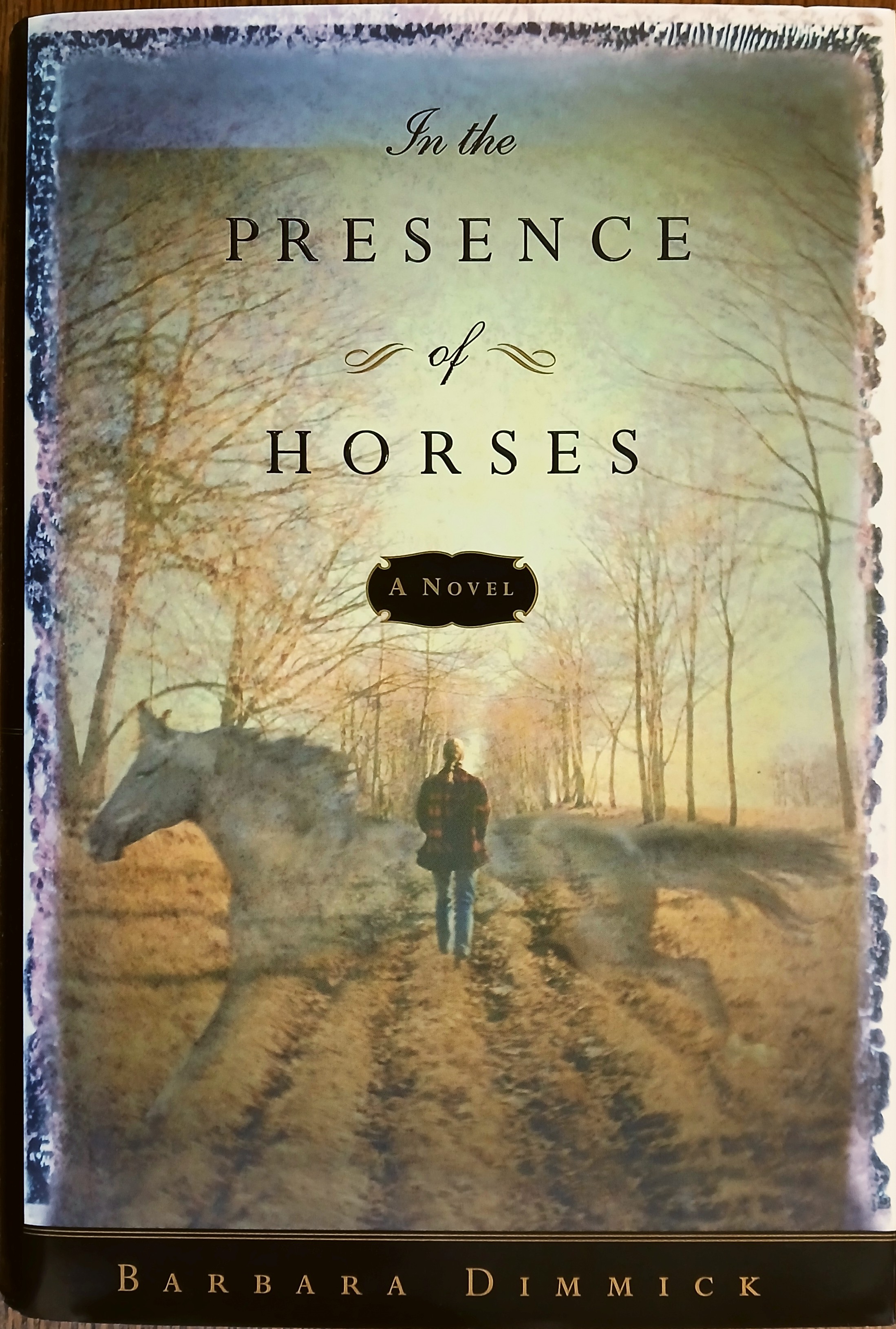 In the Presence of Horses