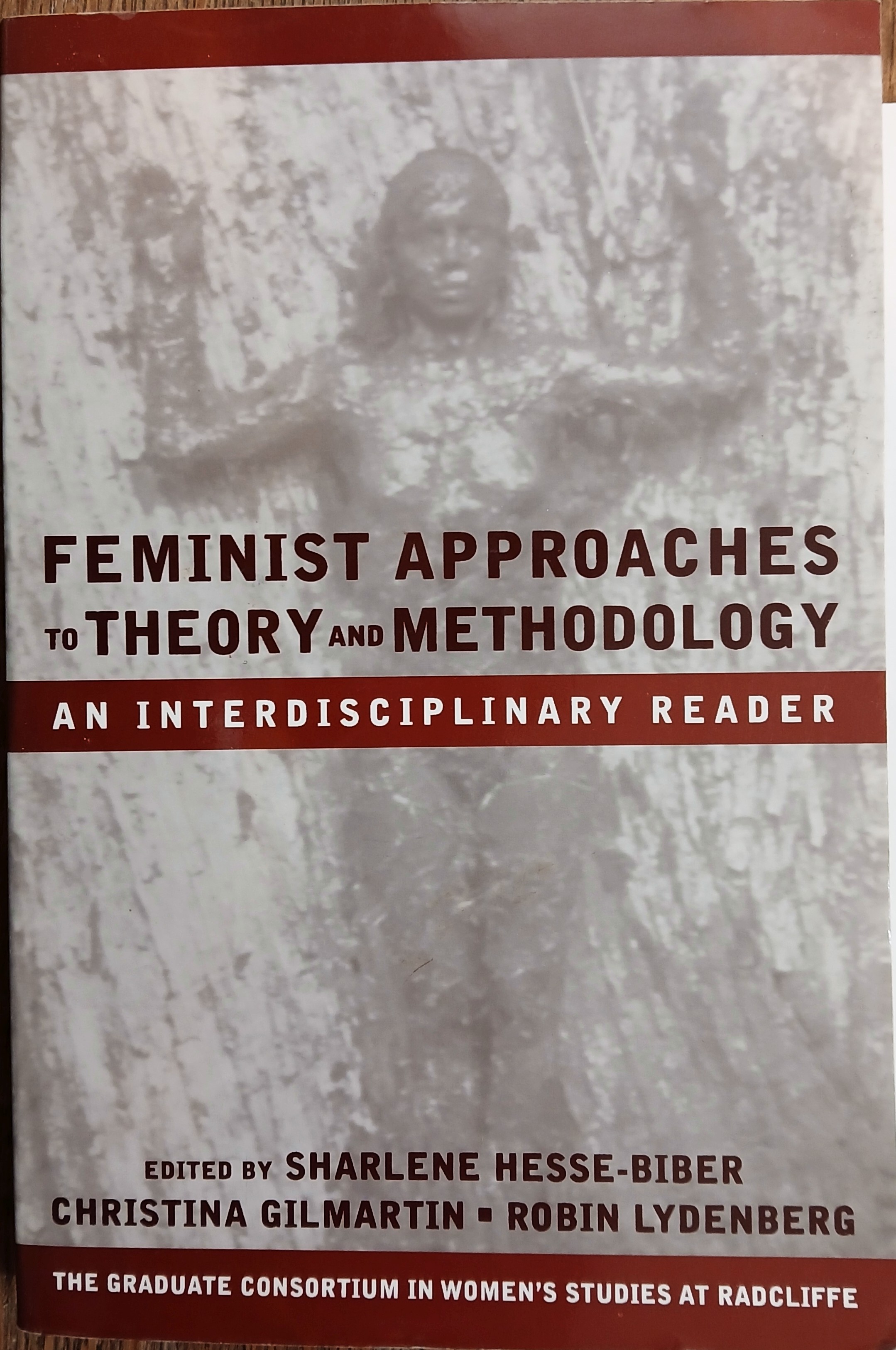 Feminist Approaches to Theory and Methodology: An Interdisciplinary Reader